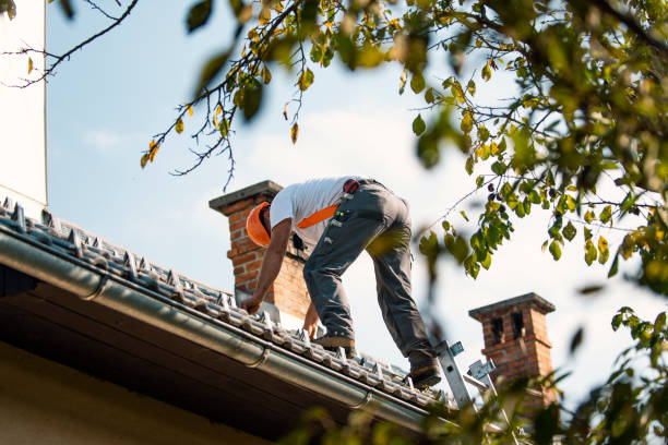 Best Tile Roofing Contractor  in Jacksonvle, IL