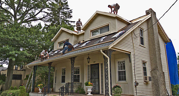 Best Roof Maintenance Services  in Jacksonvle, IL