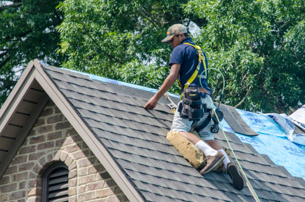 Best Roof Repair Services  in Jacksonvle, IL